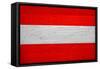 Austria Flag Design with Wood Patterning - Flags of the World Series-Philippe Hugonnard-Framed Stretched Canvas