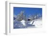 Austria, Hinterthiersee, Winter,-Ludwig Mallaun-Framed Photographic Print