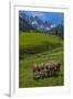 Austria, Kemater Alp, Mountain Pasture, Cows,-Ludwig Mallaun-Framed Photographic Print