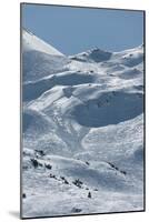 Austria, Lech am Arlberg, Madloch, skiing area,-Christine Meder stage-art.de-Mounted Photographic Print