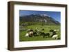 Austria, Leutasch-Ludwig Mallaun-Framed Photographic Print