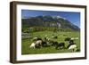 Austria, Leutasch-Ludwig Mallaun-Framed Photographic Print