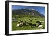 Austria, Leutasch-Ludwig Mallaun-Framed Photographic Print