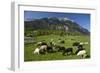 Austria, Leutasch-Ludwig Mallaun-Framed Photographic Print