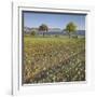 Austria, Lower Austria, Fields, Hohe Wand-Rainer Mirau-Framed Photographic Print