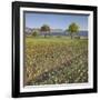 Austria, Lower Austria, Fields, Hohe Wand-Rainer Mirau-Framed Photographic Print