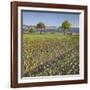 Austria, Lower Austria, Fields, Hohe Wand-Rainer Mirau-Framed Photographic Print