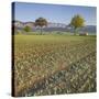 Austria, Lower Austria, Fields, Hohe Wand-Rainer Mirau-Stretched Canvas