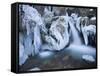 Austria, Lower Austria, MirafŠlle (Waterfall), Winter-Rainer Mirau-Framed Stretched Canvas