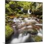 Austria, Lower Austria, Ysperklamm, Weinsberger Forest-Rainer Mirau-Mounted Photographic Print