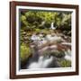 Austria, Lower Austria, Ysperklamm, Weinsberger Forest-Rainer Mirau-Framed Photographic Print