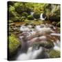 Austria, Lower Austria, Ysperklamm, Weinsberger Forest-Rainer Mirau-Stretched Canvas