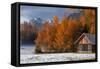 Austria, Mieminger Plateau, Larch Meadows-Ludwig Mallaun-Framed Stretched Canvas