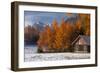 Austria, Mieminger Plateau, Larch Meadows-Ludwig Mallaun-Framed Photographic Print