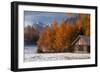 Austria, Mieminger Plateau, Larch Meadows-Ludwig Mallaun-Framed Photographic Print