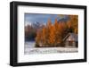 Austria, Mieminger Plateau, Larch Meadows-Ludwig Mallaun-Framed Photographic Print