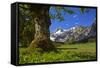 Austria, Pertisau, Gramaialm-Ludwig Mallaun-Framed Stretched Canvas