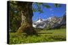 Austria, Pertisau, Gramaialm-Ludwig Mallaun-Stretched Canvas