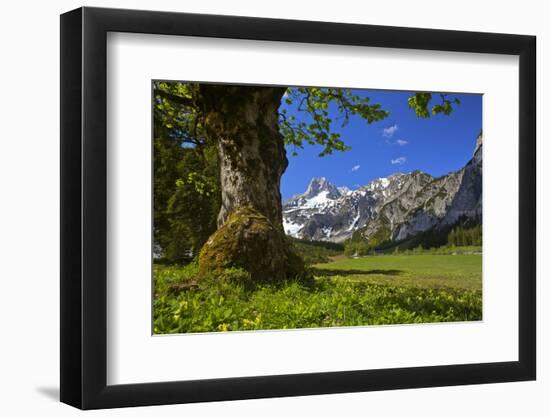 Austria, Pertisau, Gramaialm-Ludwig Mallaun-Framed Photographic Print