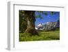 Austria, Pertisau, Gramaialm-Ludwig Mallaun-Framed Photographic Print