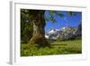 Austria, Pertisau, Gramaialm-Ludwig Mallaun-Framed Photographic Print