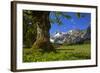 Austria, Pertisau, Gramaialm-Ludwig Mallaun-Framed Photographic Print