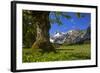 Austria, Pertisau, Gramaialm-Ludwig Mallaun-Framed Photographic Print