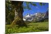 Austria, Pertisau, Gramaialm-Ludwig Mallaun-Mounted Photographic Print