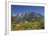 Austria, Salzburg, Mandlwand, Hochkšnig (Mountain)-Rainer Mirau-Framed Photographic Print