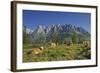 Austria, Salzburg, Mandlwand, Hochkšnig (Mountain)-Rainer Mirau-Framed Photographic Print