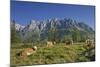 Austria, Salzburg, Mandlwand, Hochkšnig (Mountain)-Rainer Mirau-Mounted Photographic Print