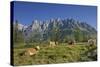 Austria, Salzburg, Mandlwand, Hochkšnig (Mountain)-Rainer Mirau-Stretched Canvas