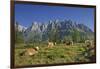 Austria, Salzburg, Mandlwand, Hochkšnig (Mountain)-Rainer Mirau-Framed Photographic Print