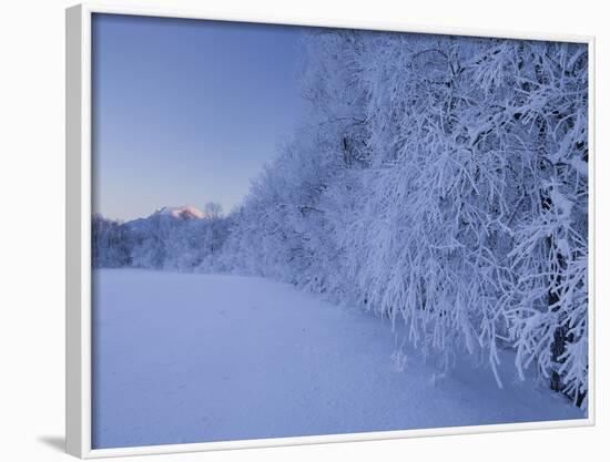 Austria, Styria, Ennstaler Alps, Admont, Hoarfrost-Rainer Mirau-Framed Photographic Print