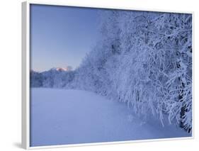 Austria, Styria, Ennstaler Alps, Admont, Hoarfrost-Rainer Mirau-Framed Photographic Print