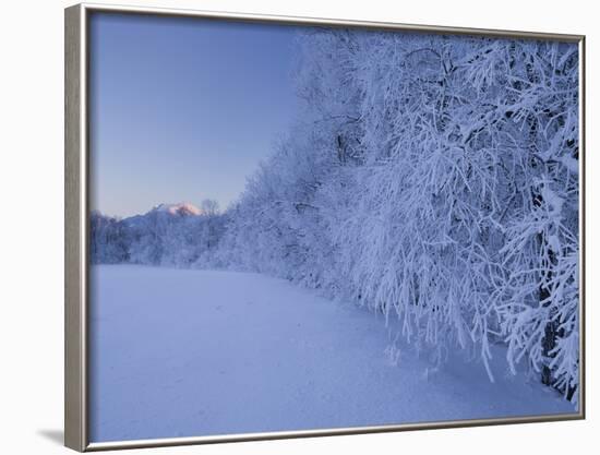 Austria, Styria, Ennstaler Alps, Admont, Hoarfrost-Rainer Mirau-Framed Photographic Print