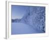 Austria, Styria, Ennstaler Alps, Admont, Hoarfrost-Rainer Mirau-Framed Photographic Print