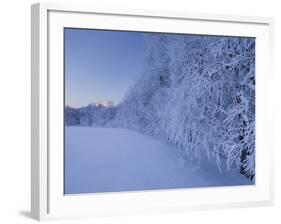 Austria, Styria, Ennstaler Alps, Admont, Hoarfrost-Rainer Mirau-Framed Photographic Print