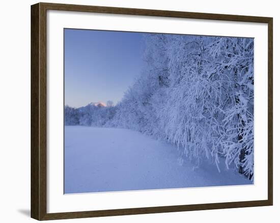 Austria, Styria, Ennstaler Alps, Admont, Hoarfrost-Rainer Mirau-Framed Photographic Print