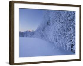 Austria, Styria, Ennstaler Alps, Admont, Hoarfrost-Rainer Mirau-Framed Photographic Print