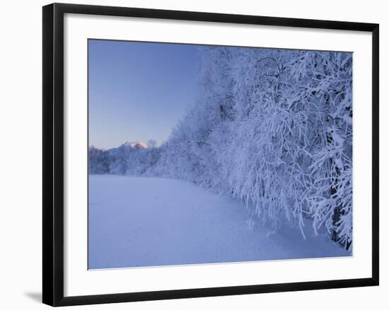 Austria, Styria, Ennstaler Alps, Admont, Hoarfrost-Rainer Mirau-Framed Photographic Print