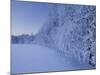 Austria, Styria, Ennstaler Alps, Admont, Hoarfrost-Rainer Mirau-Mounted Photographic Print