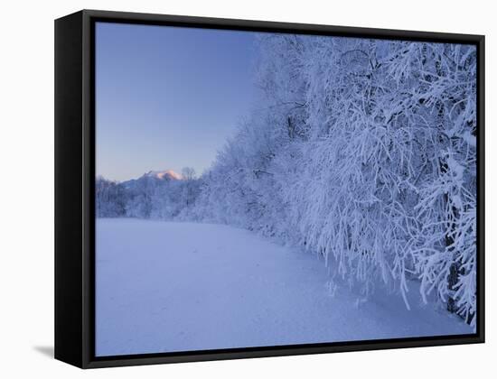 Austria, Styria, Ennstaler Alps, Admont, Hoarfrost-Rainer Mirau-Framed Stretched Canvas