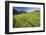 Austria, Styria, Grimming, Ennstal, Mountain-Region, Agriculture, Field Work-Rainer Mirau-Framed Photographic Print