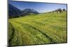 Austria, Styria, Grimming, Ennstal, Mountain-Region, Agriculture, Field Work-Rainer Mirau-Mounted Photographic Print