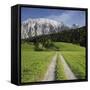 Austria, Styria, Grimming, Meadow, Lane-Rainer Mirau-Framed Stretched Canvas