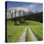 Austria, Styria, Grimming, Meadow, Lane-Rainer Mirau-Stretched Canvas