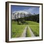 Austria, Styria, Grimming, Meadow, Lane-Rainer Mirau-Framed Photographic Print