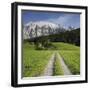 Austria, Styria, Grimming, Meadow, Lane-Rainer Mirau-Framed Photographic Print