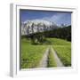 Austria, Styria, Grimming, Meadow, Lane-Rainer Mirau-Framed Photographic Print